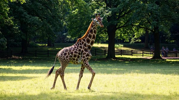 Top 5 des parcs animaliers incontournables à Paris